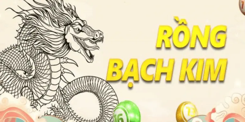 soi cau lo de rong bach kim 67979de4dfb03